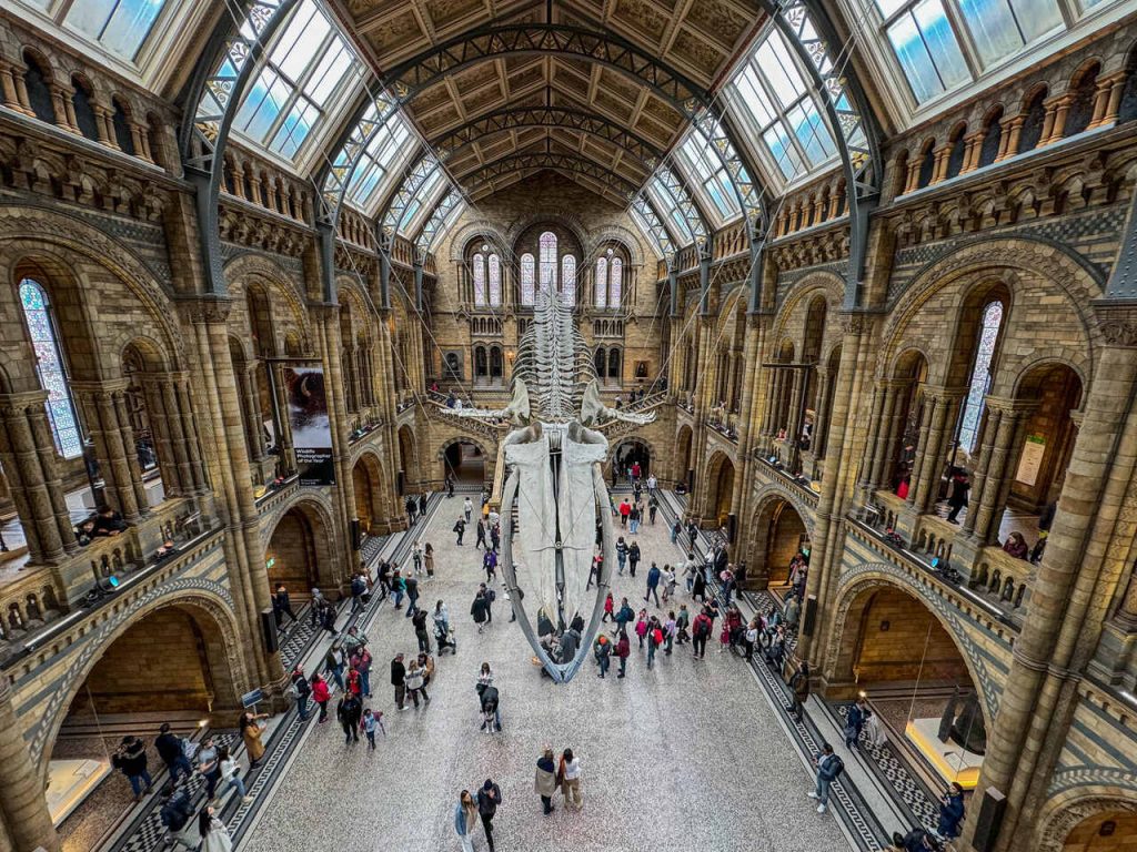 Londyn Muzeum Historii Naturalnej