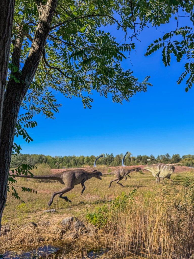 JuraPark Krasiejów czy warto?