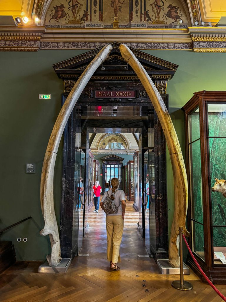 Wiedeń na weekend co zobaczyć w 3 dni